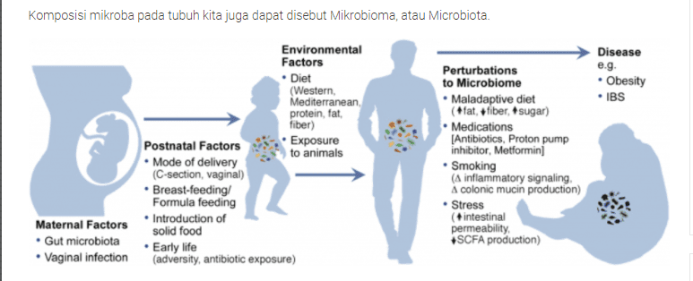 Mikroba dalam Tubuh Manusia
