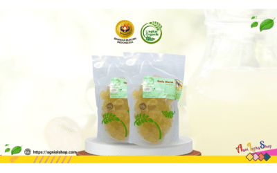 Jual Gula Batu Terdekat Asli dan Kualitas Premium dari Lingkar Organik
